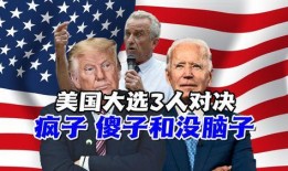 特朗普爆料视频,揭秘政治内幕与权力斗争